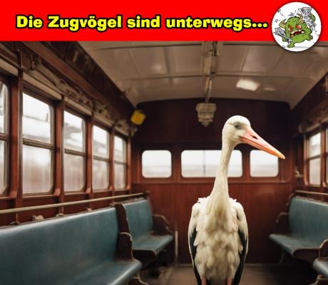 zugvogel